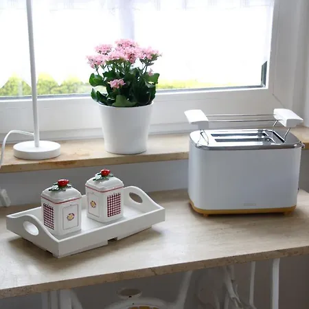 Huus-appelboom Blersum