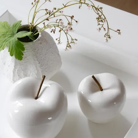 別荘 Huus-appelboom