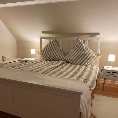 Huus-appelboom 別荘 Blersum