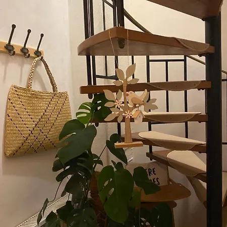 別荘 Huus-appelboom Blersum