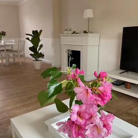 別荘 Huus-appelboom *