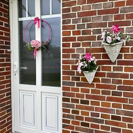 Huus-appelboom * Blersum