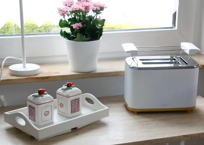 Huus-appelboom Blersum