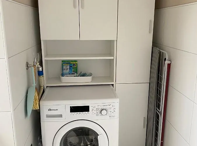 Huus-appelboom Blersum